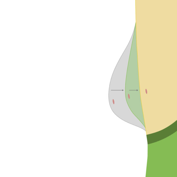 Flatten Your Curve - 4 maanden leeftstijlprogramma