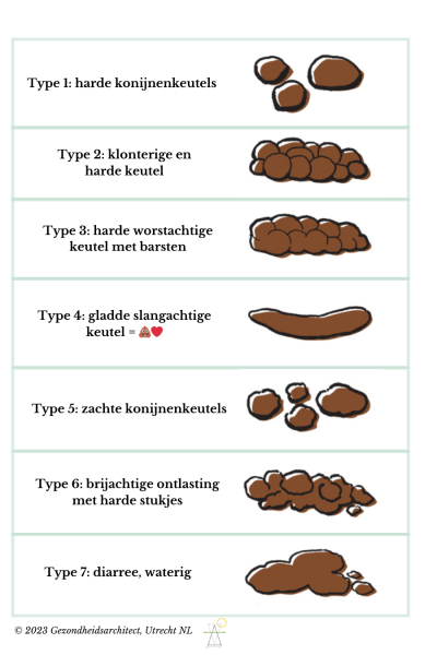 food-mood-poo schema